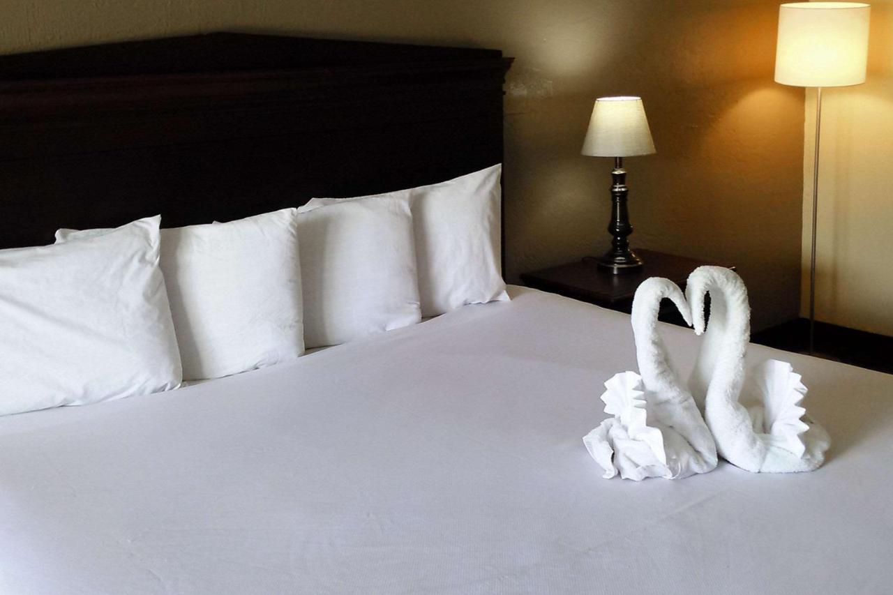 Econo Lodge Ormond Beach Bagian luar foto